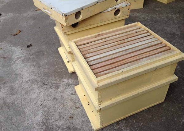 Cách làm thùng nuôi ong