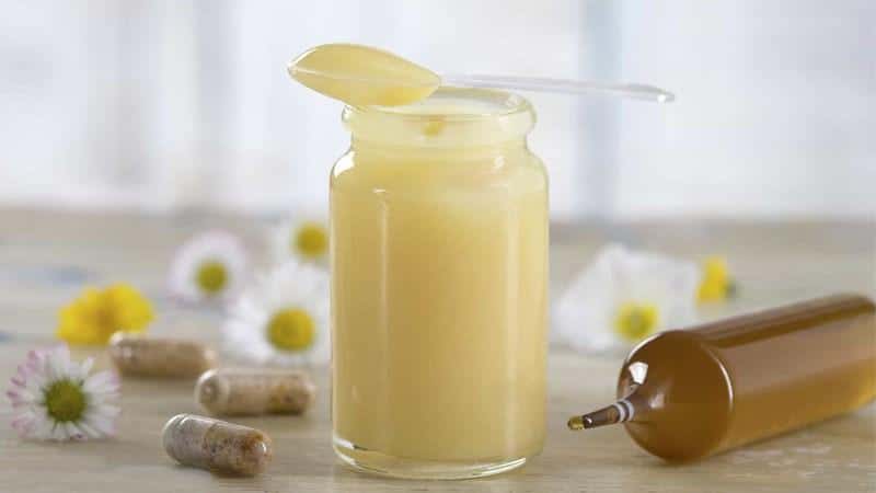 Sữa ong chúa gồm: nước, carbs, protein, chất béo, vitamin B và các khoáng chất vi lượng