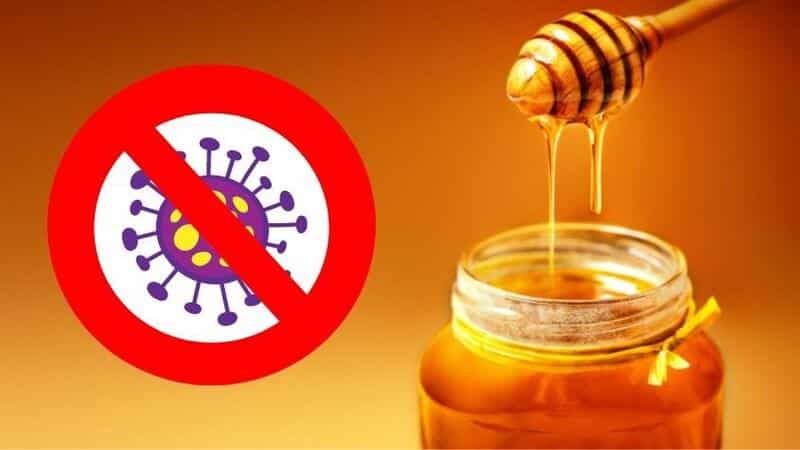Mật ong Manuka có tác dụng gần như các loại thuốc kháng virus
